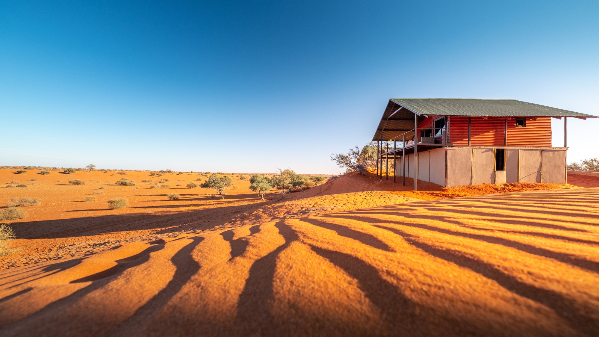 Bagatelle Lodge - Kalahari Game Ranch - Namibia - Chalte on dune2
