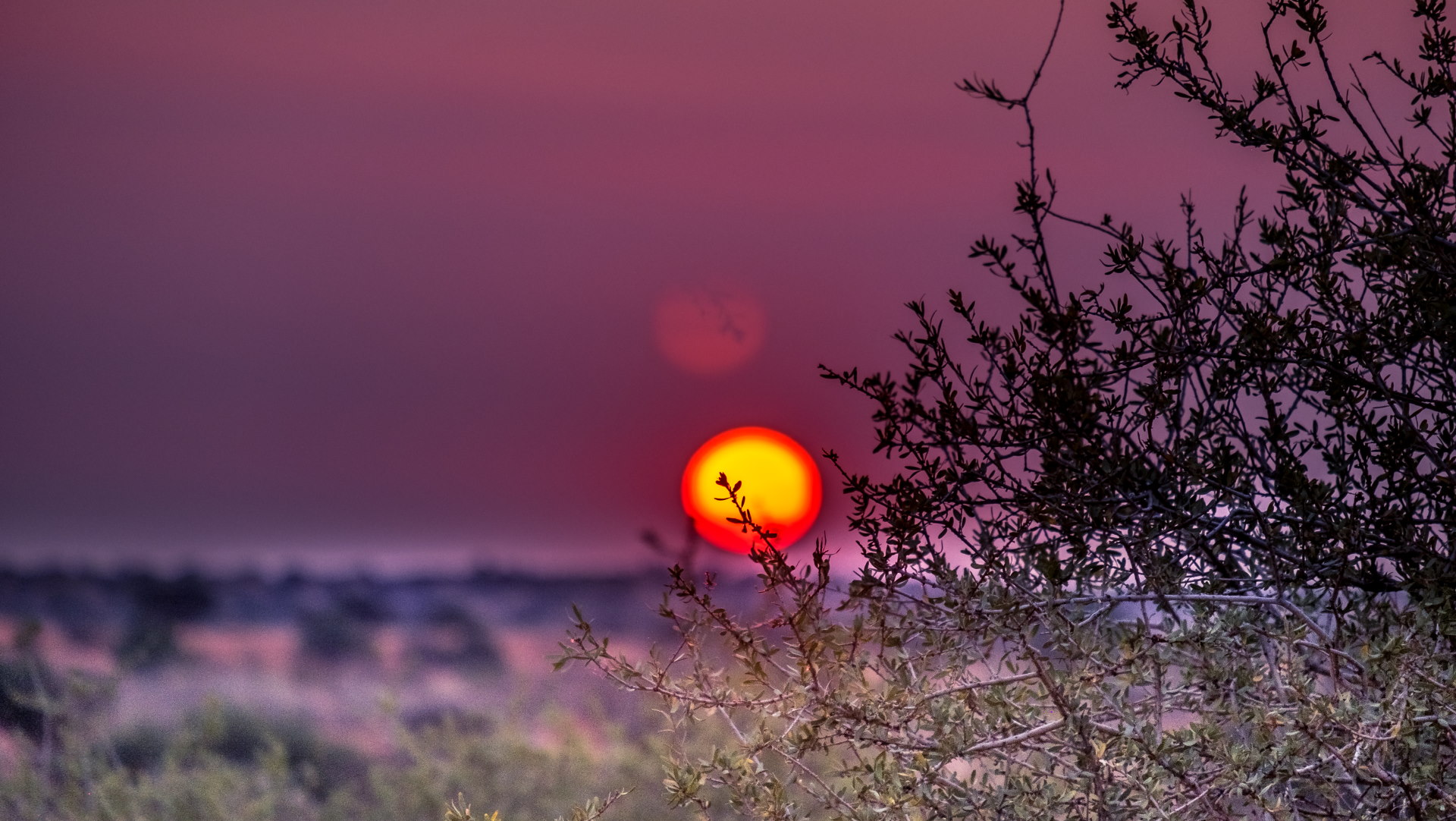 Bagatelle Lodge - Kalahari Game Ranch - Namibia - red sunset